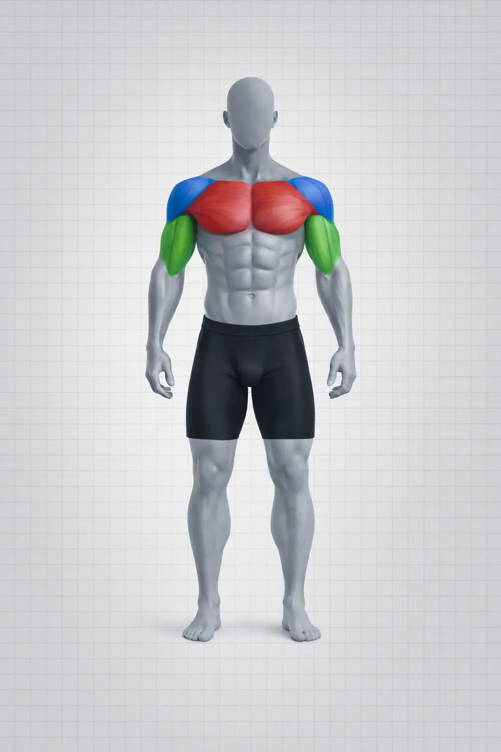 Muscle Recap Rephorm AI - Unlock Your Muscle Building Potential
